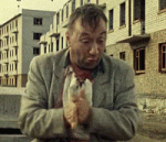 27.gif